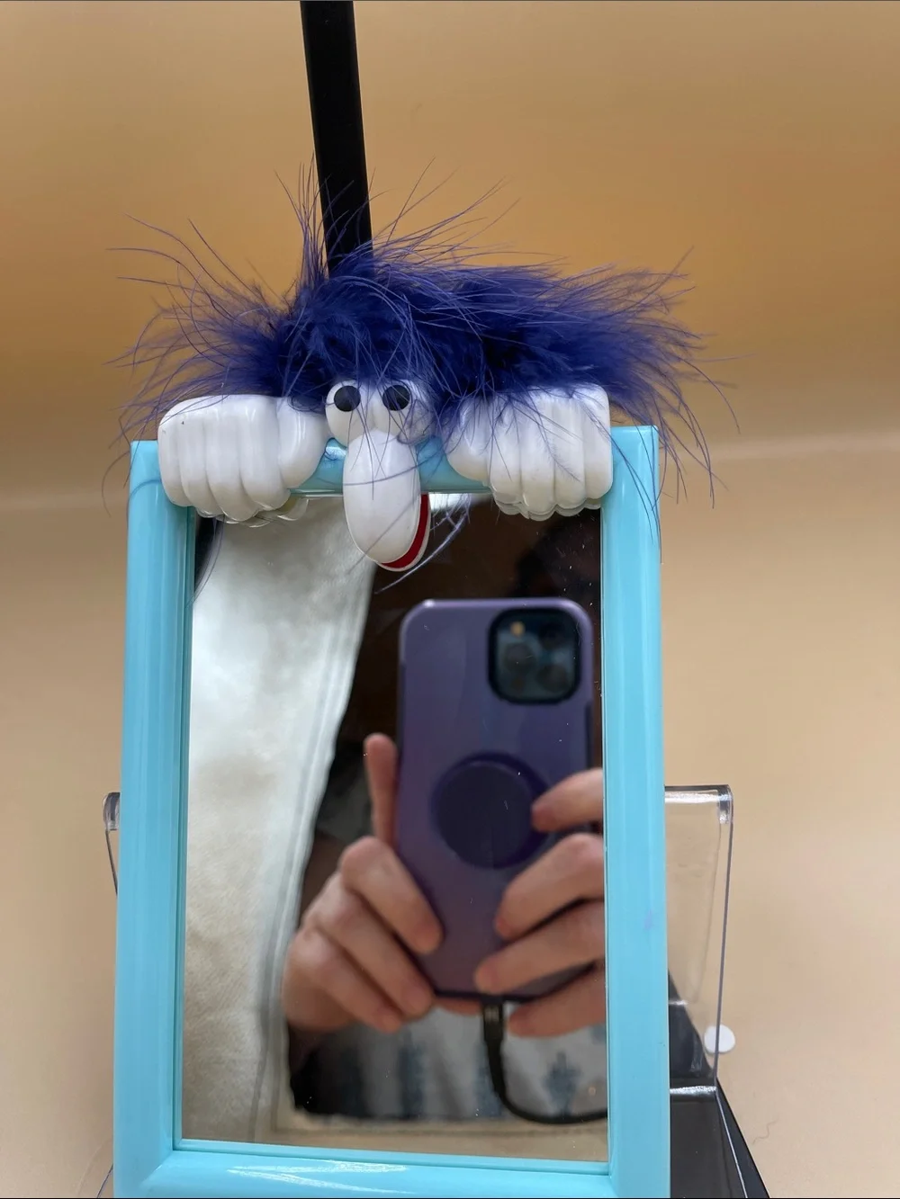 Funny Face Mirror with Stand adorable conversation piece